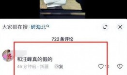 汪峰恋情爆料最新视频,最新视频揭露神秘女友身份